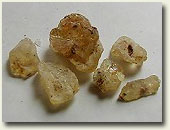 Copal
